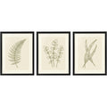 Stuep Botanical Wall Art Triptych 12 x 16 in Black Frames Set of 3 - Product view