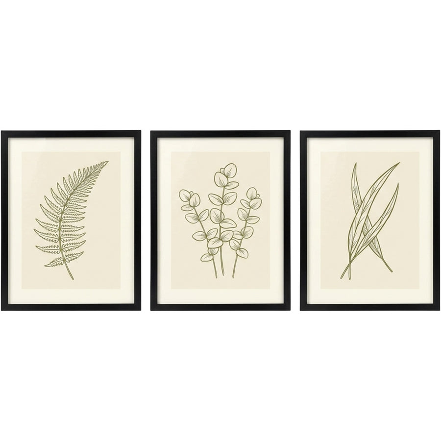 Stuep Botanical Wall Art Triptych 12 x 16 in Black Frames Set of 3